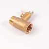 Válvula de Seguridad 1/2 8 Bar Thermor para Termo Eléctrico Original 029628 Válvula de Seguridad 1/2 8 Bar Thermor para Termo Eléctrico Original 029628
